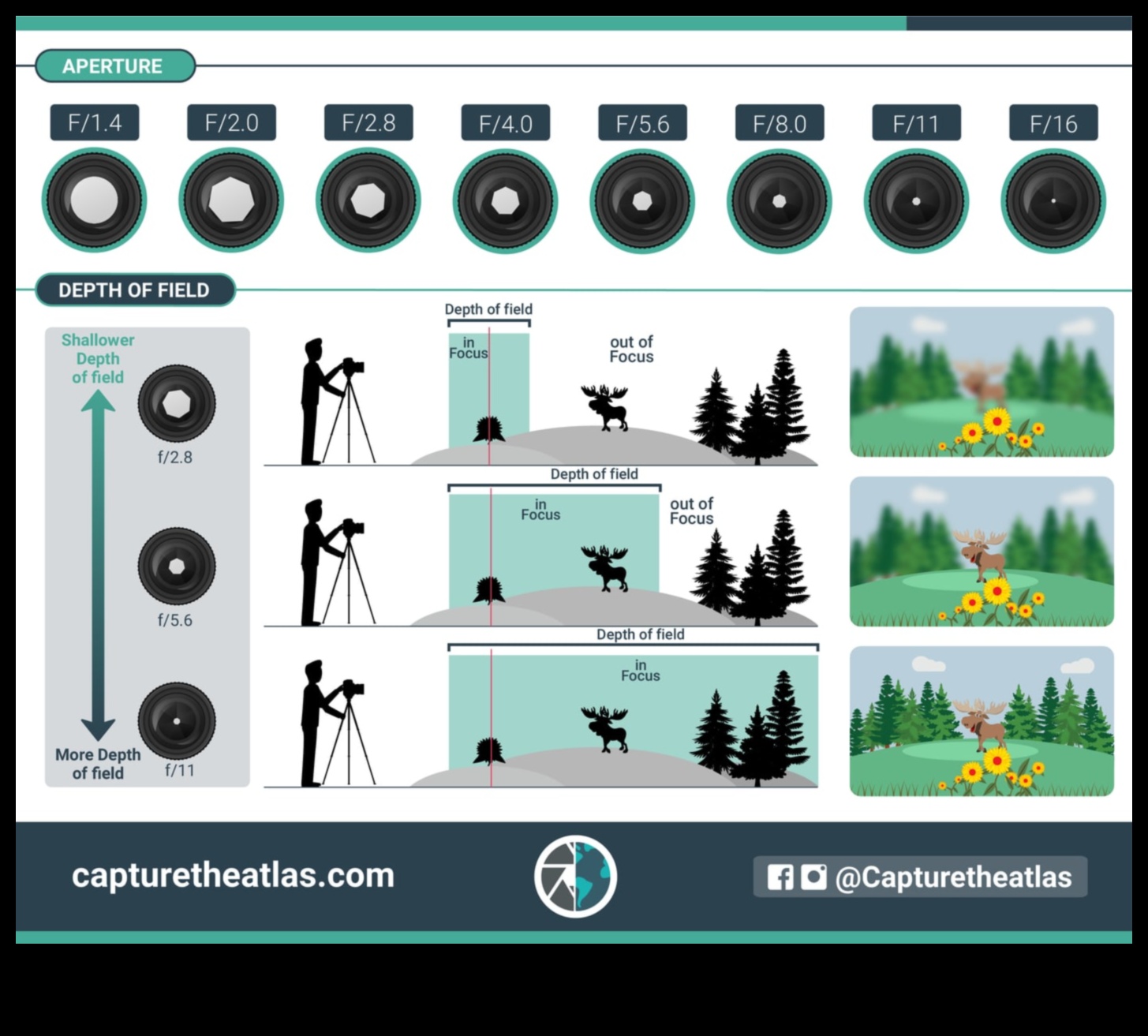 Aperture Alchemy: Stăpânirea perspectivelor cu educația expertă în fotografie