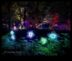 Grădini strălucitoare Cum să luminezi frumusețea florală cu iluminat creativ